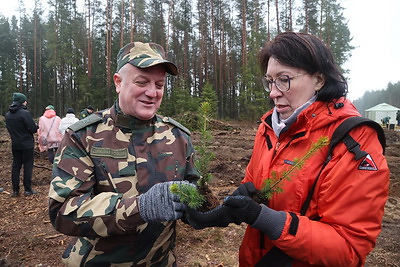 Акция \"Аднавім лясы разам!\" проходит в Могилевской области