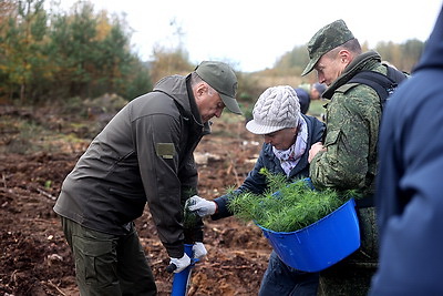 Вольфович: восстановление лесов на пострадавших территориях - наша общая задача