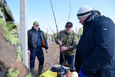 Лукашенко провел субботник на своей малой родине