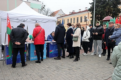 Сбор подписей для выдвижения кандидатов в Президенты Беларуси стартовал 7 ноября