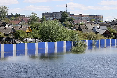 В Гомеле снизился уровень воды после весеннего паводка