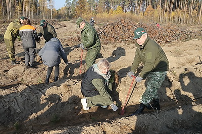 \"Это еще один из факторов единения и единства\". Крупко об акции \"Дай лесу новае жыццё!\"