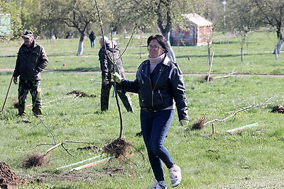 Республиканский субботник проходит в мемориальном комплексе \"Детям - жертвам войны\" в деревне Красный Берег