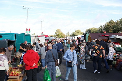 Осенние ярмарки проходят в регионах