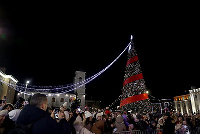 В Бресте провели акцию \"Я желаю в Новый год...\" и зажгли огни на главной елке