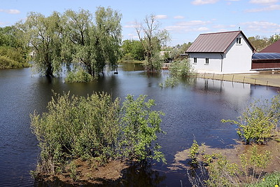 В Гомеле снизился уровень воды после весеннего паводка