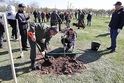 Республиканский субботник проходит в мемориальном комплексе \"Детям - жертвам войны\" в деревне Красный Берег