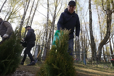 Головченко во время субботника высаживает лес в Копыльском районе