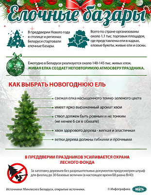 Инфографика. Елочные базары