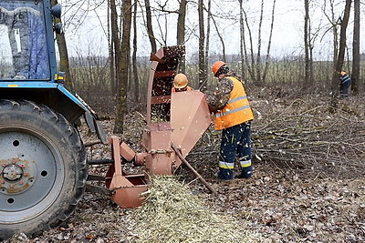 В Беларуси проходит акция по наведению порядка на земле, благоустройству и озеленению