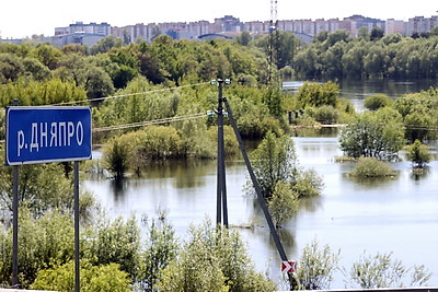 В Гомеле снизился уровень воды после весеннего паводка