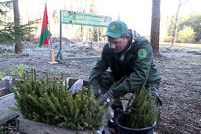 Акция \"Дай лесу новае жыццё!\" проходит в Беларуси