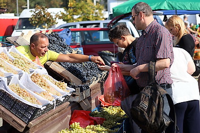 Сезон сельскохозяйственных ярмарок стартовал в Минске