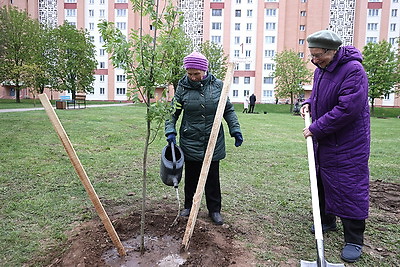 В Гродно в честь 100-летия образования органов торговли заложили капсулу времени и аллею