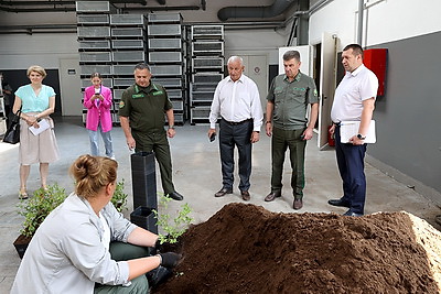 В Минской области на разработке буреломов задействованы более 200 человек и техника