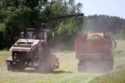 Первый укос многолетних трав ведут хозяйства Гродненской области