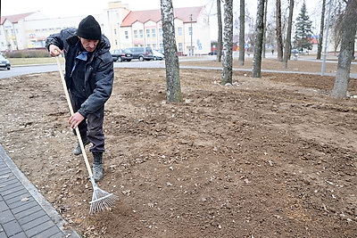 В Беларуси проходит акция по наведению порядка на земле, благоустройству и озеленению