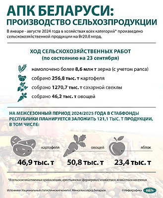 Инфографика. АПК Беларуси: производство сельхозпродукции