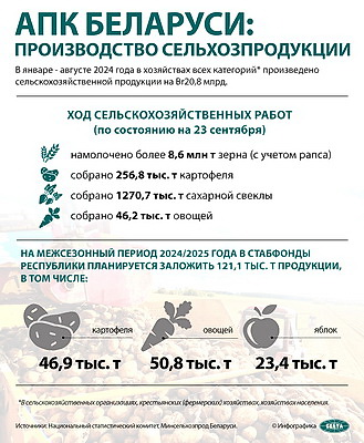 Инфографика. АПК Беларуси: производство сельхозпродукции