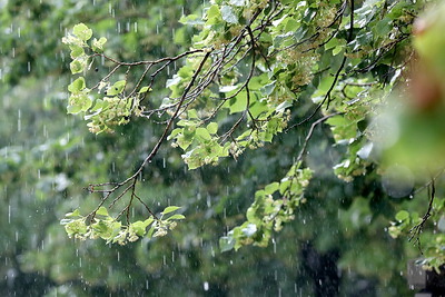 Сильный дождь прошел в Минске