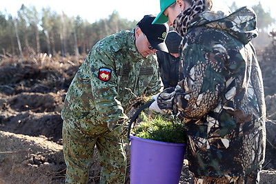 Пархомчик об акции \"Дай лесу новае жыццё!\": этот лес вырастет для будущего поколения