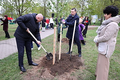 В Гродно в честь 100-летия образования органов торговли заложили капсулу времени и аллею