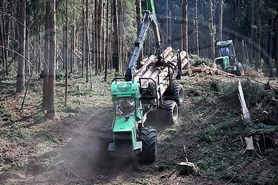 В Минской области на разработке буреломов задействованы более 200 человек и техника