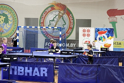 Финал республиканских соревнований по настольному теннису состоялся в Могилеве
