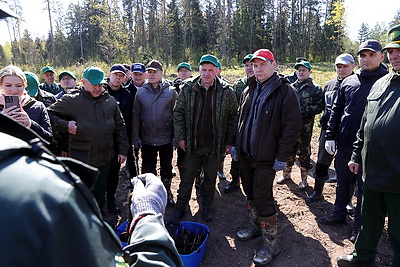 Головченко во время субботника высаживает лес в Копыльском районе