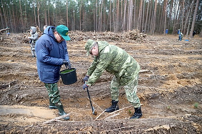 Помощь людям и стране. Головченко принимает участие в акции \"Дай лесу новае жыццё!\"