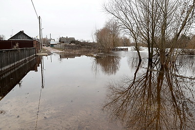 Подтопления паводковыми и талыми водами зафиксированы в Петриковском районе