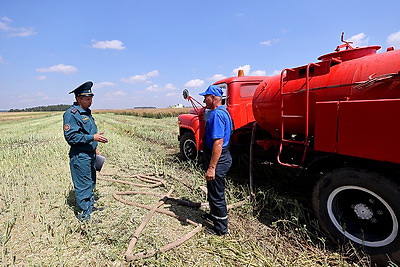 В Берестовицком районе приступили к уборке рапса