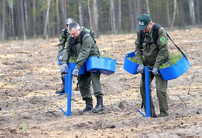 Задел для будущих поколений. Более 5 га молодого леса посадила команда Гомельского облисполкома