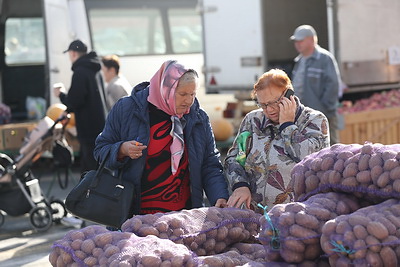 Осенние ярмарки проходят в регионах