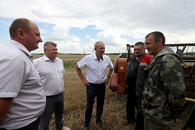 Виды на урожай, организация труда. Сергеенко знакомится с ходом уборочной в Витебской области