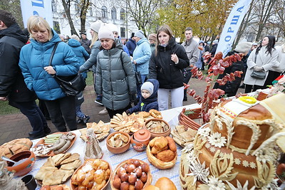 Областные \"Дажынкі\" проходят в Полоцке