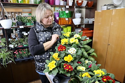 Дизайнеры \"Красной гвоздики\" подготовили около 200 вариаций оформления клумб