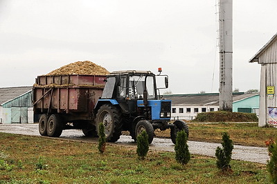 Аграрии Полесья продолжают уборку урожая