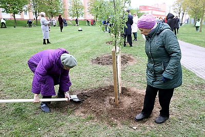 В Гродно в честь 100-летия образования органов торговли заложили капсулу времени и аллею