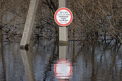 \"И помощь есть, и большой воды не боимся\". Как живут в отрезанной от суши паводком Поляновке