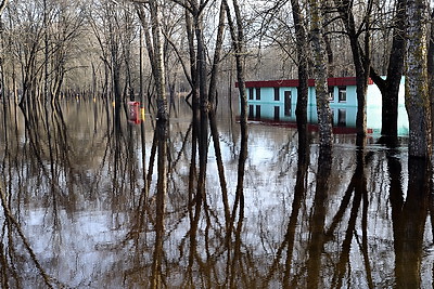 Подразделения МЧС Гомельской области находятся в режиме повышенной готовности