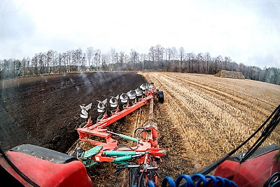 Пашут, вносят органику и даже начали сев. В Брестской области все районы включились в полевые работы