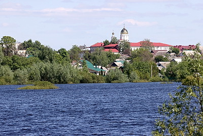 В Гомеле снизился уровень воды после весеннего паводка