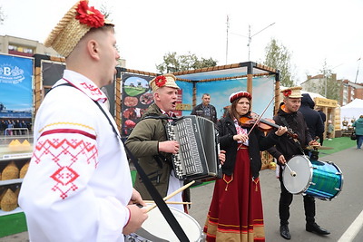 Областные \"Дажынкi\" проходят в Микашевичах