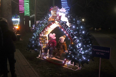 \"Дедморобус\", космическая елка и железная. В Гродно зажгли огни на аллее дизайнерских елок