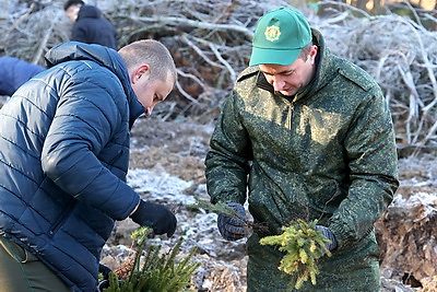 Акция \"Дай лесу новае жыццё!\" проходит в Беларуси