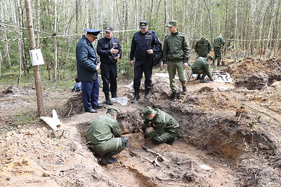 В урочище Волчий Дуб обнаружены останки четырех жертв карательной операции времен ВОВ