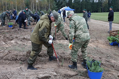 Лукашенко дал старт республиканской акции по восстановлению леса, пострадавшего после стихии