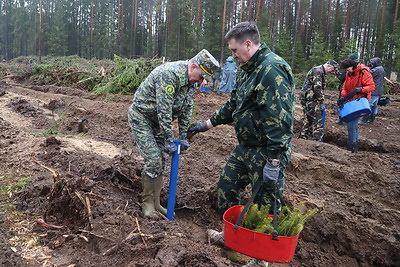 Акция \"Аднавім лясы разам!\" проходит в Могилевской области