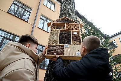 Занятия по интересам, турниры, экскурсии. Как школьники проводят осенние каникулы